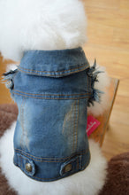 Load image into Gallery viewer, Shell Pet Dog Clothes Teddy VIP Bichon Pet Autumn And Winter Clothing Retro Scratch Pattern Personality Denim Vest