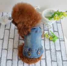 Load image into Gallery viewer, Shell Pet Dog Clothes Teddy VIP Bichon Pet Autumn And Winter Clothing Retro Scratch Pattern Personality Denim Vest