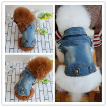 Load image into Gallery viewer, Shell Pet Dog Clothes Teddy VIP Bichon Pet Autumn And Winter Clothing Retro Scratch Pattern Personality Denim Vest
