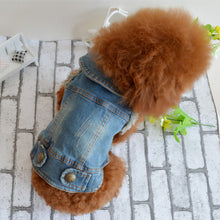 Load image into Gallery viewer, Shell Pet Dog Clothes Teddy VIP Bichon Pet Autumn And Winter Clothing Retro Scratch Pattern Personality Denim Vest