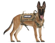 Load image into Gallery viewer, Military Tactical Dog Harness M