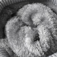 Load image into Gallery viewer, Striped Contrast Knit Hat with Pom-pom
