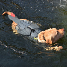 Load image into Gallery viewer, Flying Dragon Cosplay Dog Swimsuit
