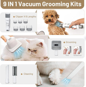 Dog Grooming Kit Pet Hair Cleaning Low Noise Vacuum Cleaner And Various Tools
