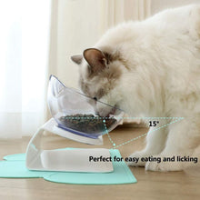 Load image into Gallery viewer, Pet Food and Water Bowls With Raised Stand - Two
