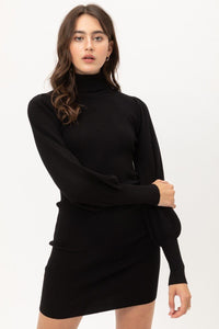 Knit Turtle Neck Sweater Dress