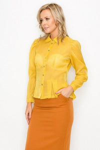 Solid Organza Pleated Long Sleeve Women's Blouse