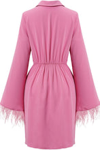 Load image into Gallery viewer, Feather Detail Tulip Hem Johnny Collar Dress
