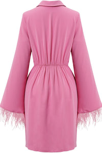 Feather Detail Tulip Hem Johnny Collar Dress