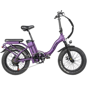 602001075-RLM-750 PR (Purple)